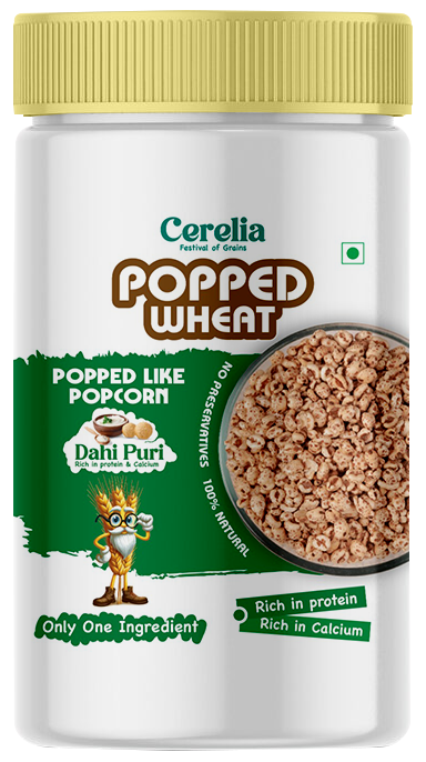 Popped Wheat - Dahi Crunchy Masala